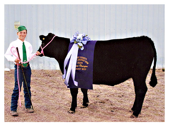 Morgan Higgins Grand Champion steer at the 2009 Modoc County Jr. Livestock Auction